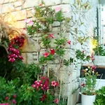 Yasemin (adults Only) 3*