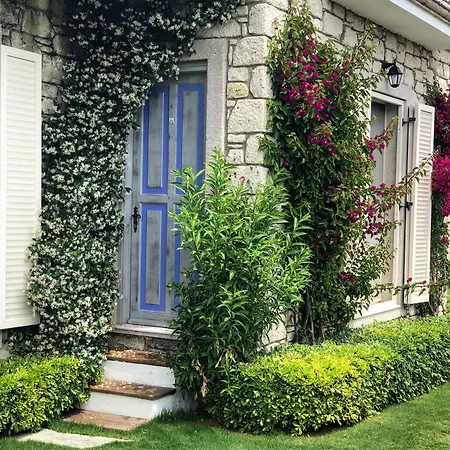 Yasemin (adults Only)