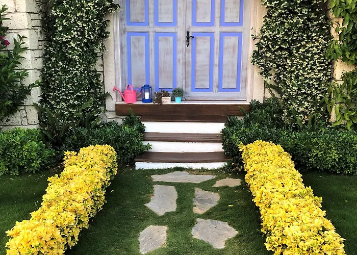 Yasemin (adults Only) 3*