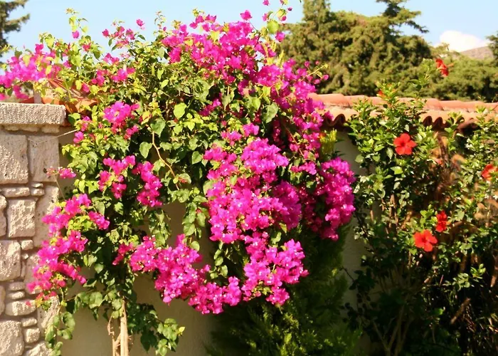 Yasemin (adults Only) Pensiune 3*