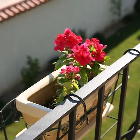 Yasemin (adults Only) 3*