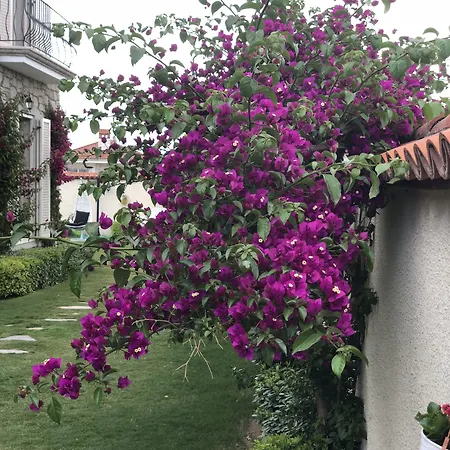 Yasemin (adults Only) Alaçatı