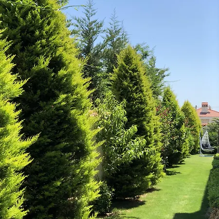 Yasemin (adults Only) 3*