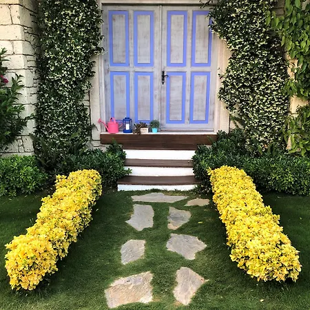 Yasemin (adults Only) 3*