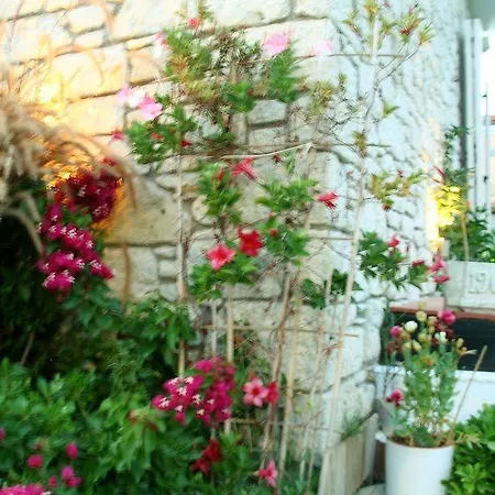 Yasemin (adults Only) 3*