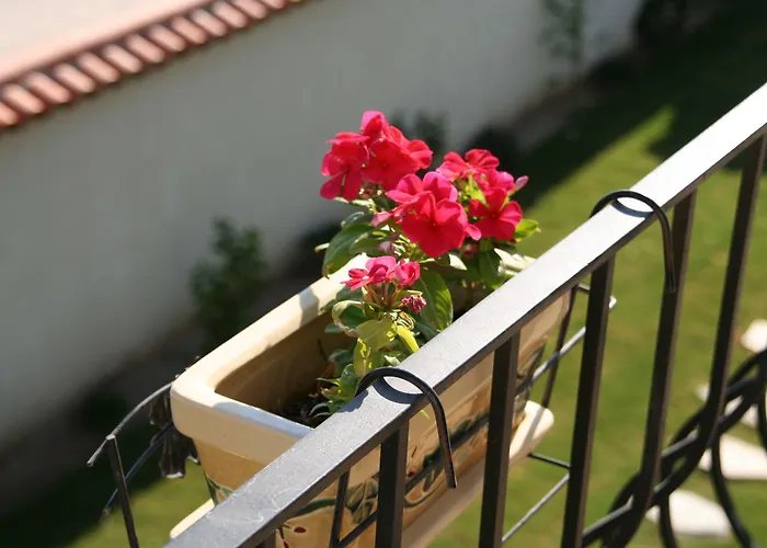 Yasemin (adults Only) 3*