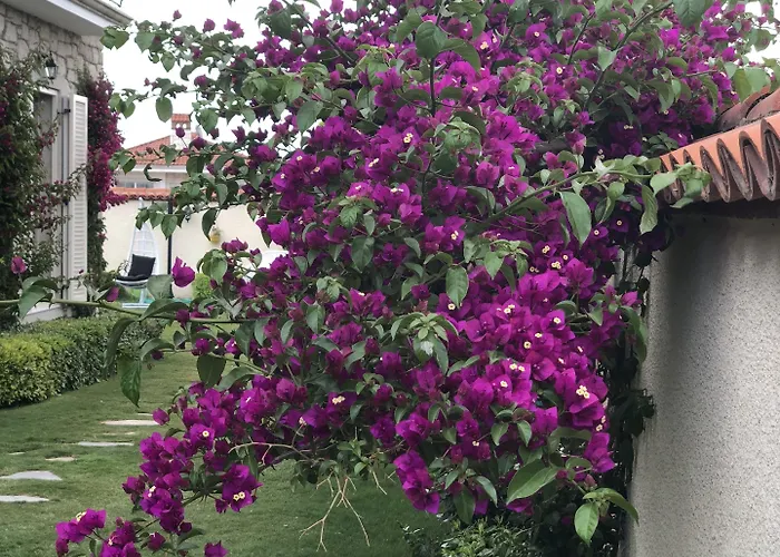 Yasemin (adults Only) Alaçatı