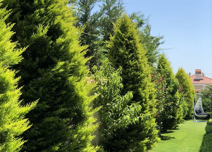 Yasemin (adults Only) 3*