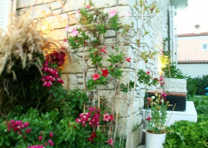 Yasemin (adults Only) 3*