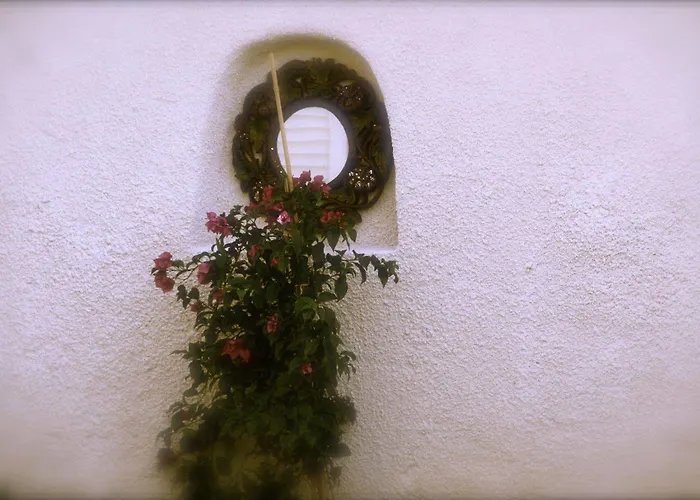 Yasemin (adults Only)